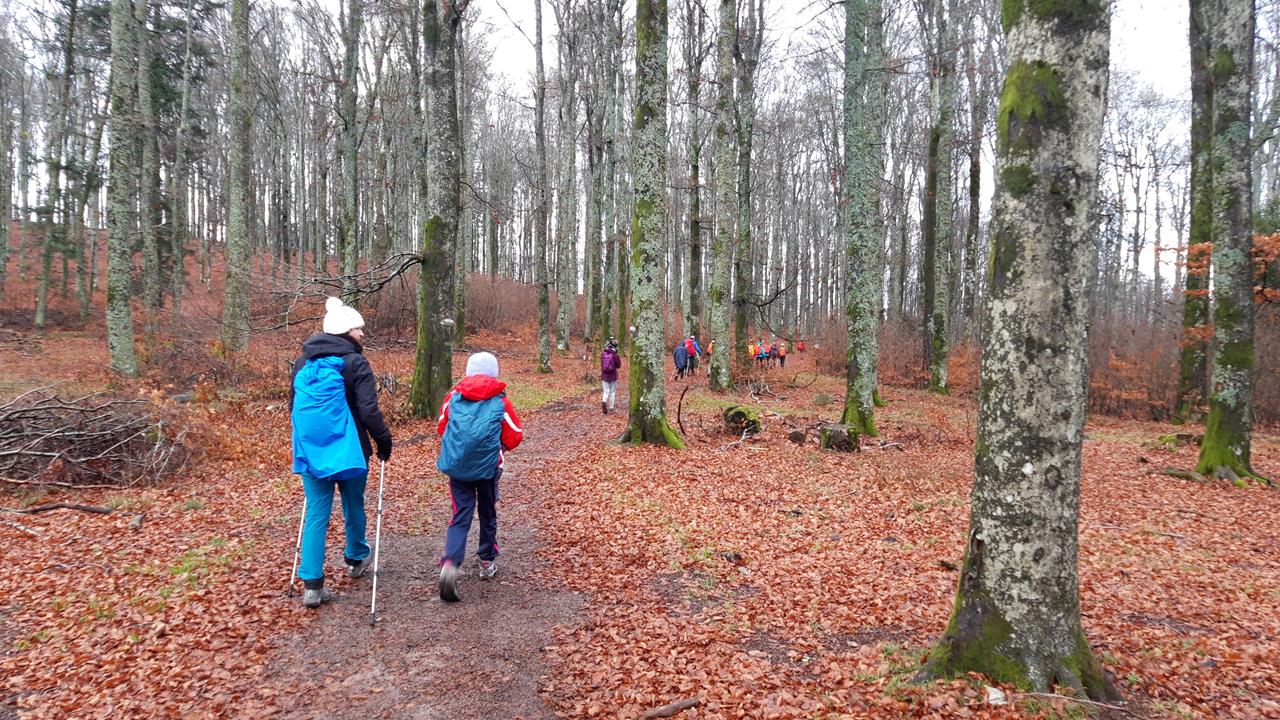 Photos14 Vallée Bruche 28-12-2022