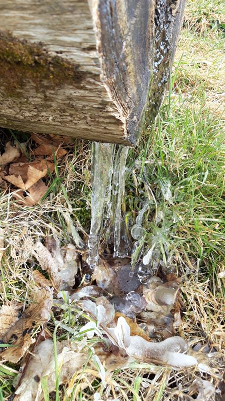 Photos10 Chemin Bien-Etre 28-02-2023