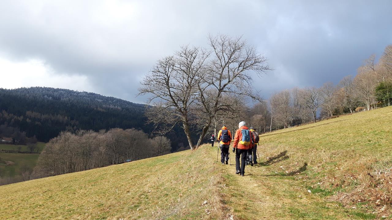 Photos12 Chemin Bien-Etre 28-02-2023