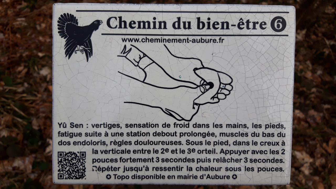 Photos3 Chemin Bien-Etre 28-02-2023