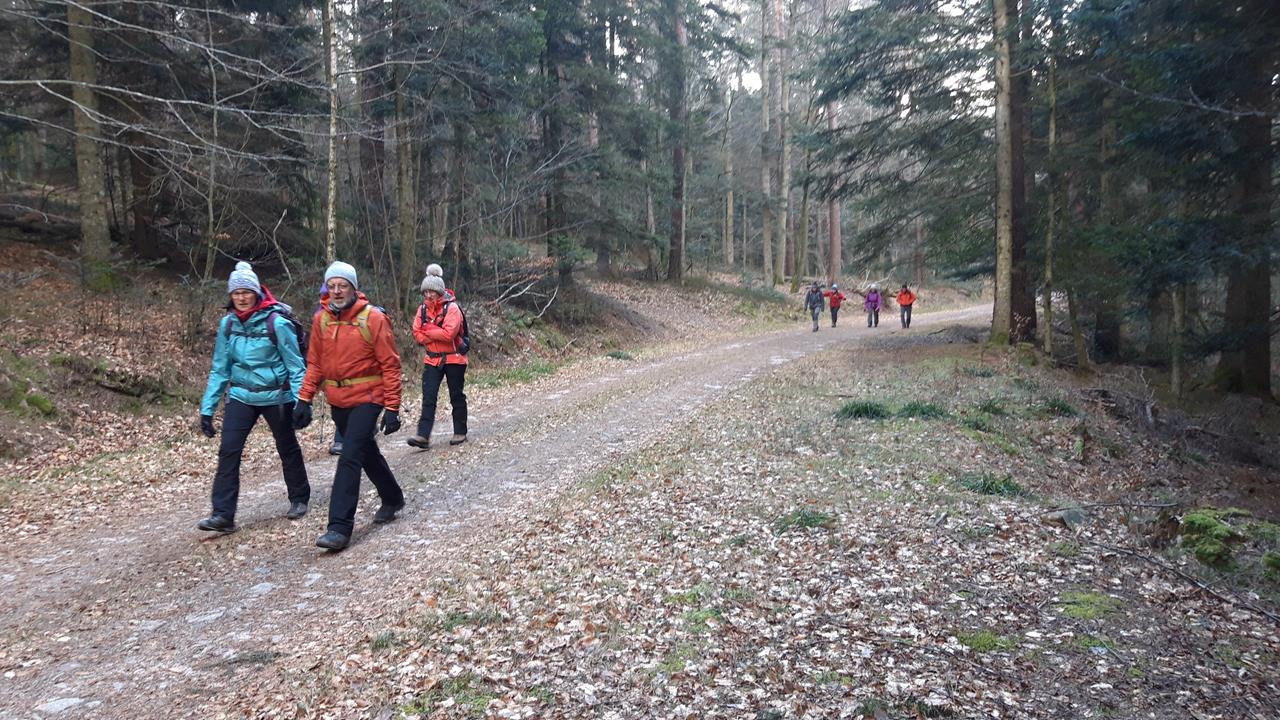 Photos4 Chemin Bien-Etre 28-02-2023