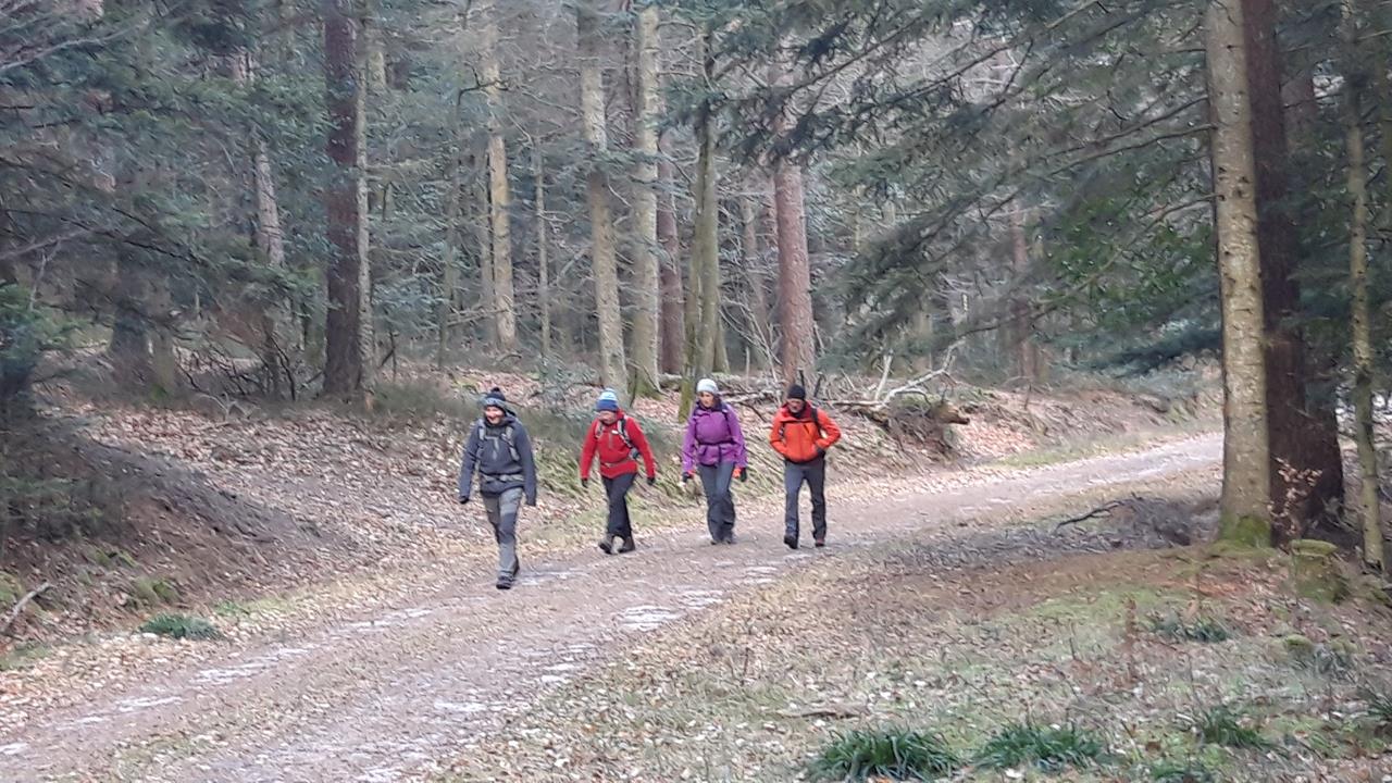 Photos5 Chemin Bien-Etre 28-02-2023