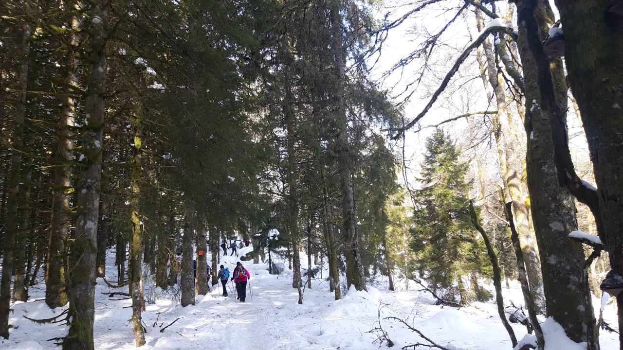 Photos15 WE-Neige 13-02-2023