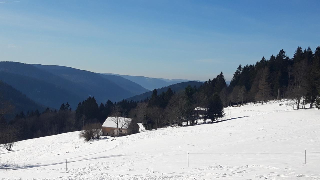 Photos4 WE-Neige 13-02-2023