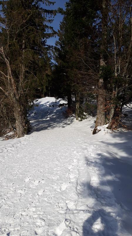 Photos7 WE-Neige 13-02-2023