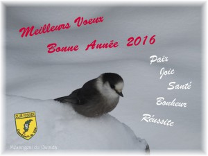 Voeux_2016_CVD_1